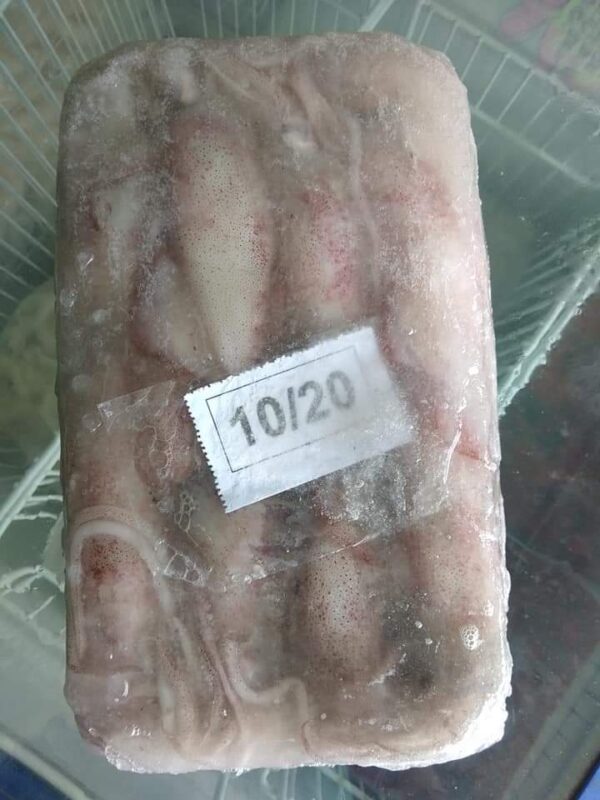 sotong-10-20-seafood-kedah