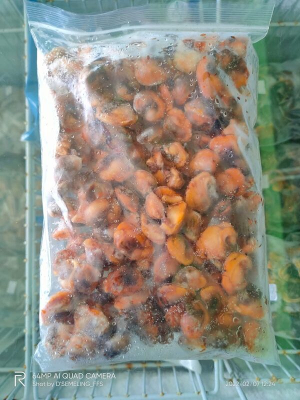 Isi Kerang IQF 1kg - Image 5