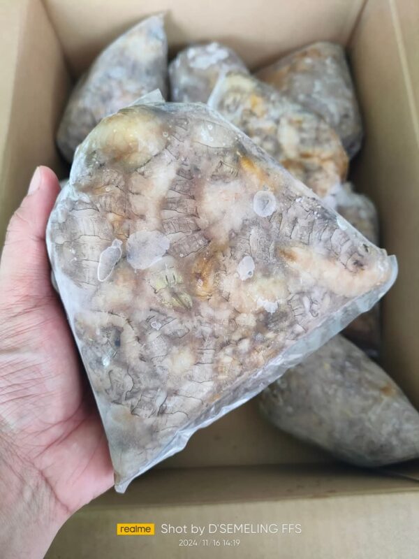 Isi Udang Lipan 1kg