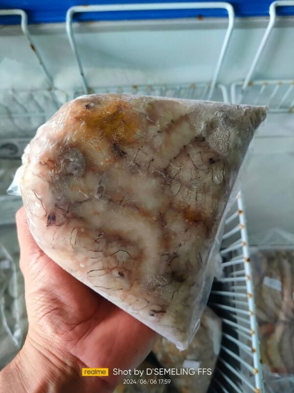 Isi Udang Lipan 1kg - Image 3