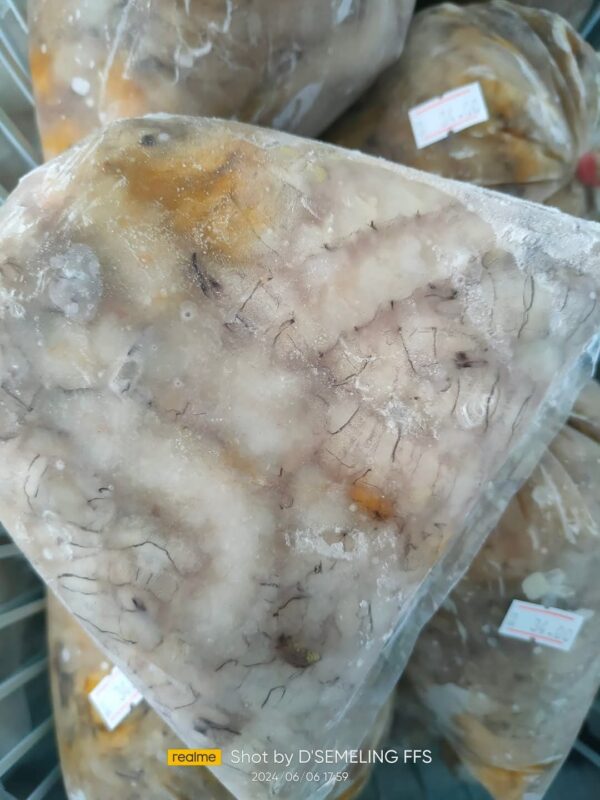 Isi Udang Lipan 1kg - Image 2