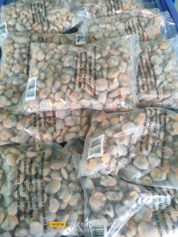 Isi Kerang IQF 1kg - Image 4