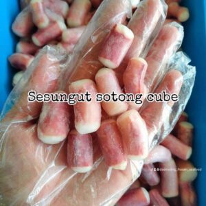 Sesungut Sotong 10% Ais (Cube)