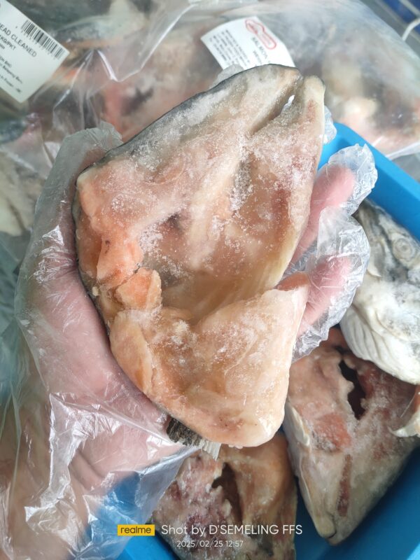 Kepala Ikan Salmon 1kg - Image 5