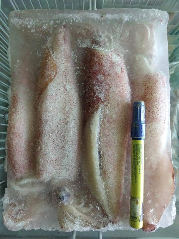 sotong-3-6-frozen-seafood-kedah