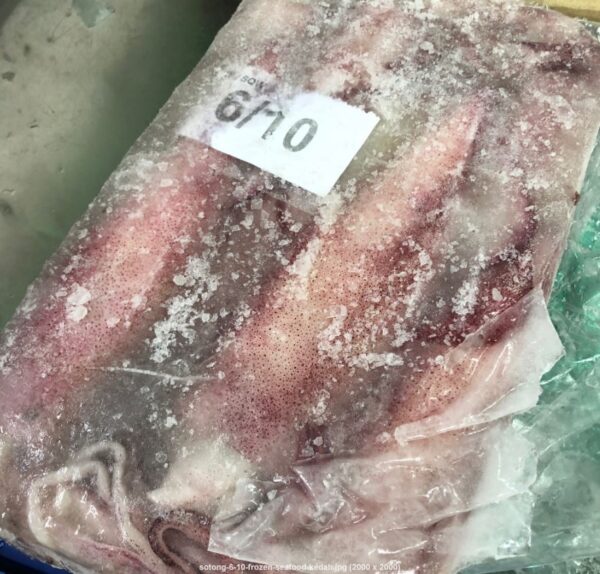 sotong-6-10-frozen-seafood-kedah
