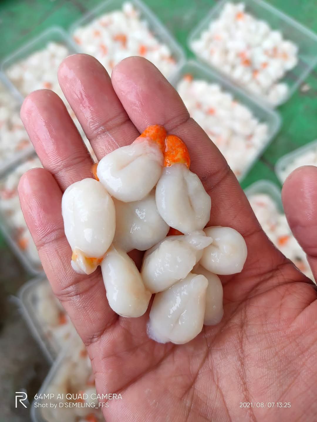 Telur Sotong Katak (Kecil) 600g - Image 3