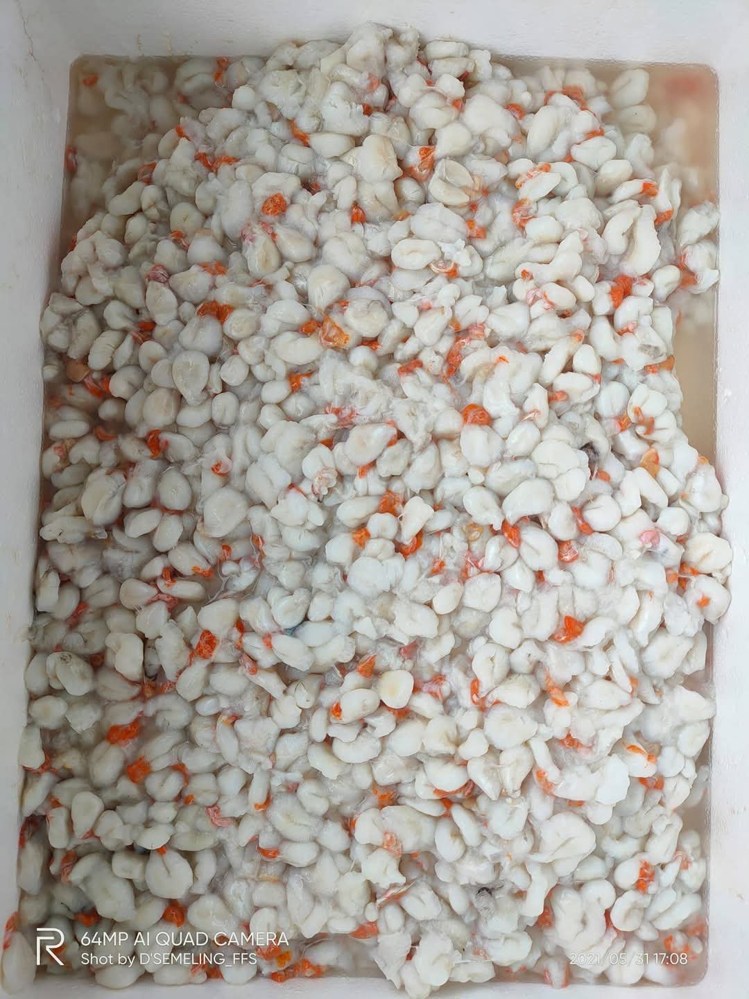 Telur Sotong Katak (Kecil) 600g - Image 4