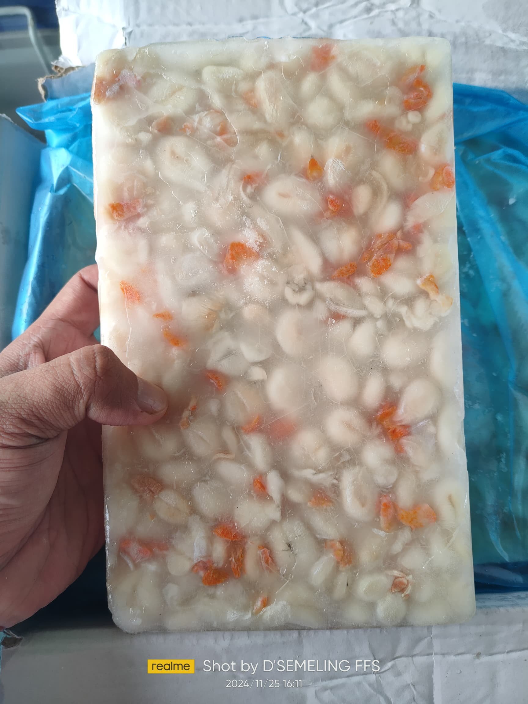 Telur Sotong Katak (Kecil) 600g