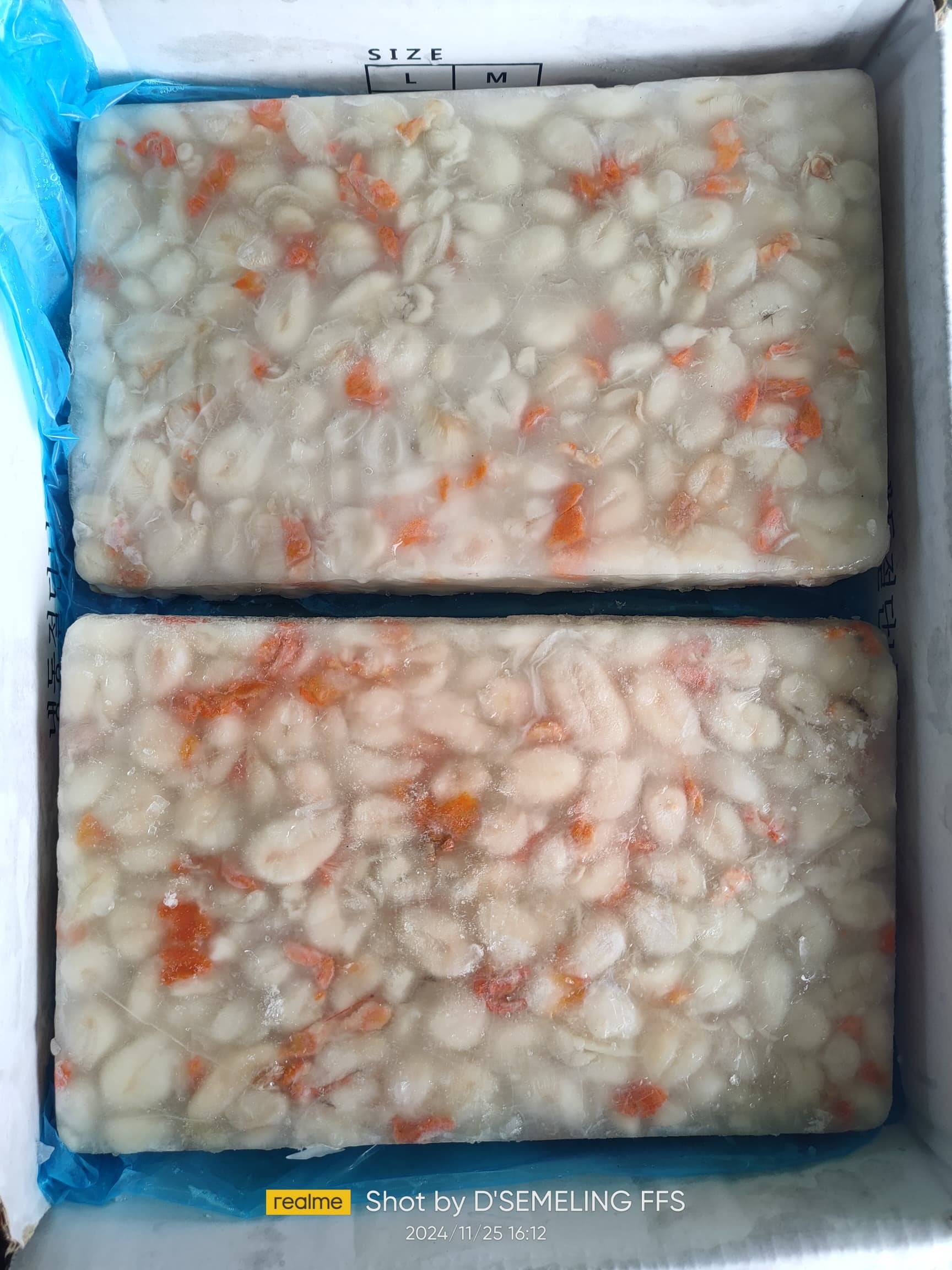 Telur Sotong Katak (Kecil) 600g - Image 2