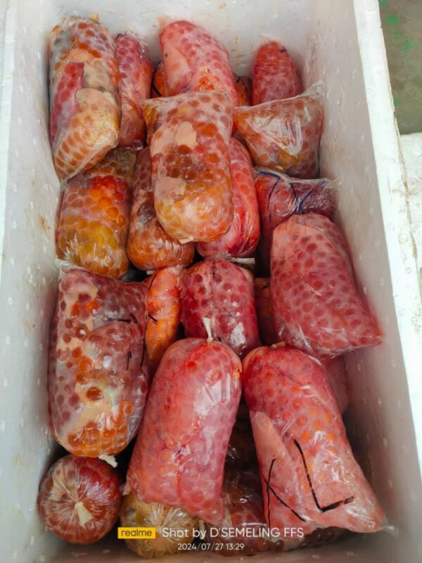 Telur Mayong Jumbo 1kg - Image 5