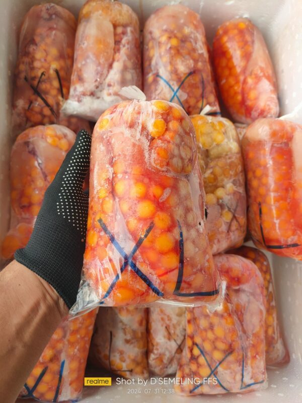 Telur Mayong Jumbo 1kg