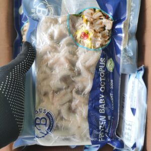 Baby Octopus (Import)